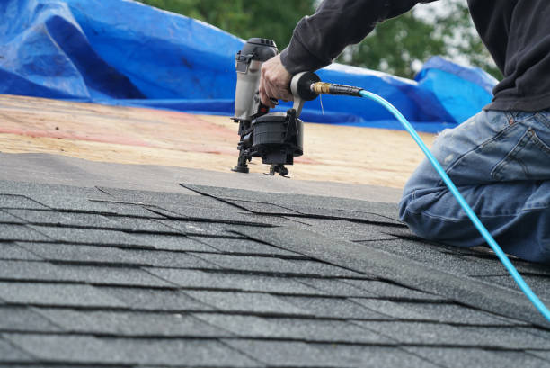 Best Metal Roofing Contractor  in Alderwood Manor, WA